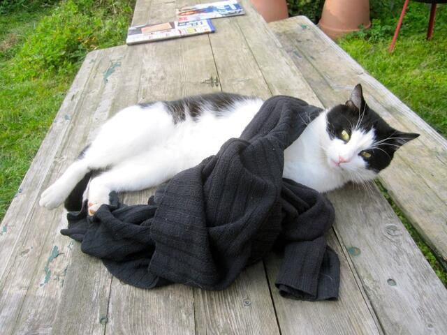 Hast du das auch gehört???