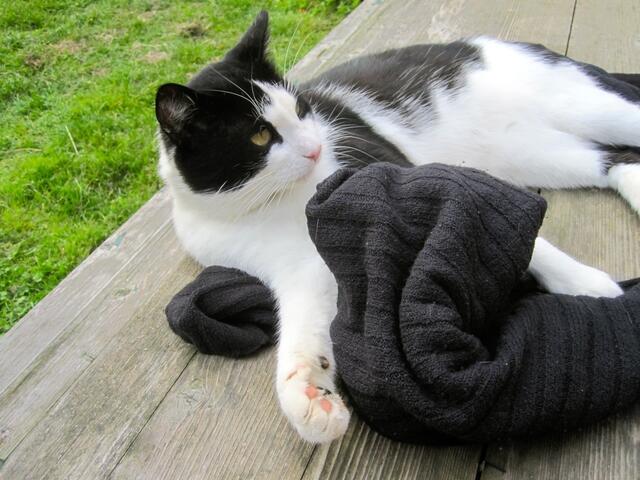 Da, jetzt habe ich es aber ganz deutlich gehört ...!