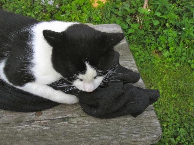 Sieht aber aus wie eine Decke!