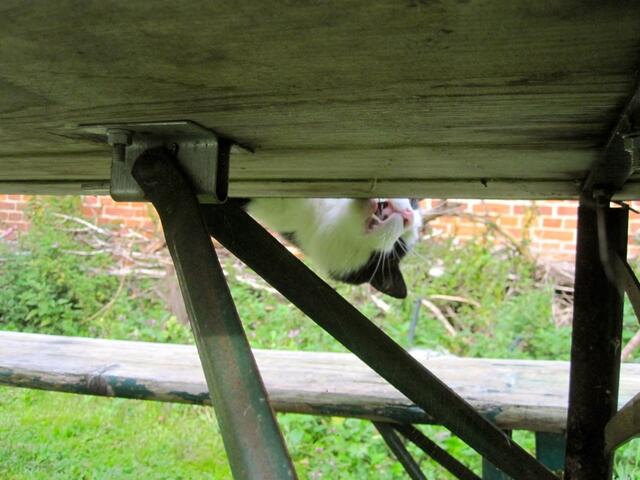 Hier ist nix zu sehen!!!!