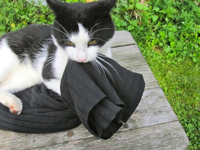 Vielleicht sollte ich lieber meine Decke schnappen und woanders damit kuscheln?!