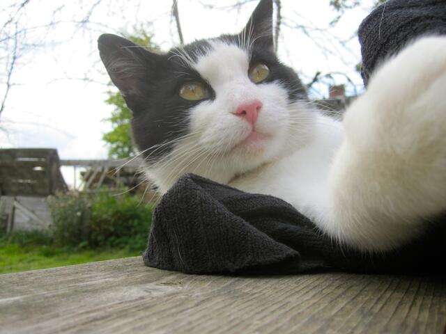 Was - ich habe mich nicht verhört, du möchtest meine Decke haben?