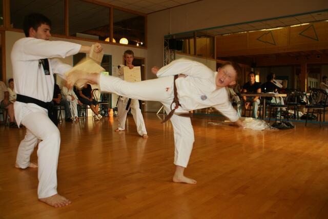 Bruchtest (seitlicher Fusstritt)