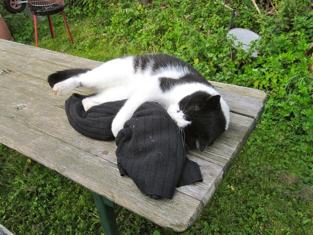 Ich kuschel derweil schon mal weiter mit meiner neuen Decke