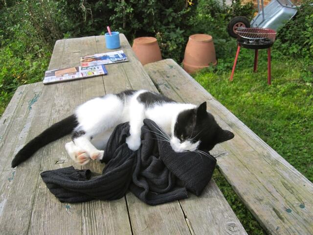 Blödsinn - da war gar nix!