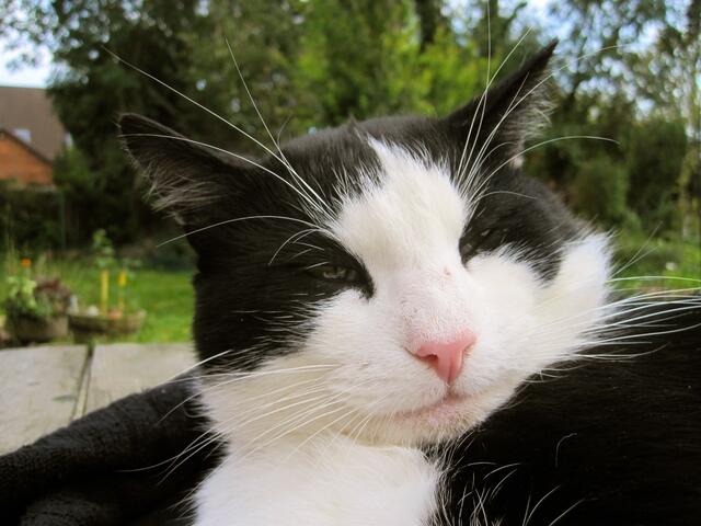 Du langweilst mich - lass mich jetzt bitte in Ruhe!