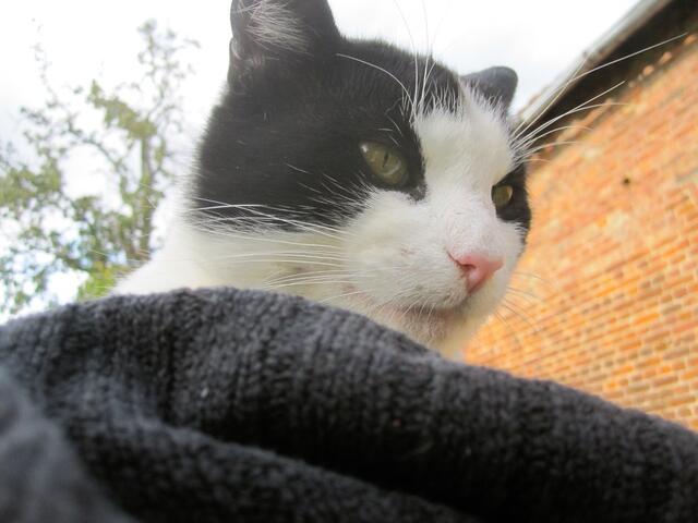 Wie meinst du das - gehört dir???