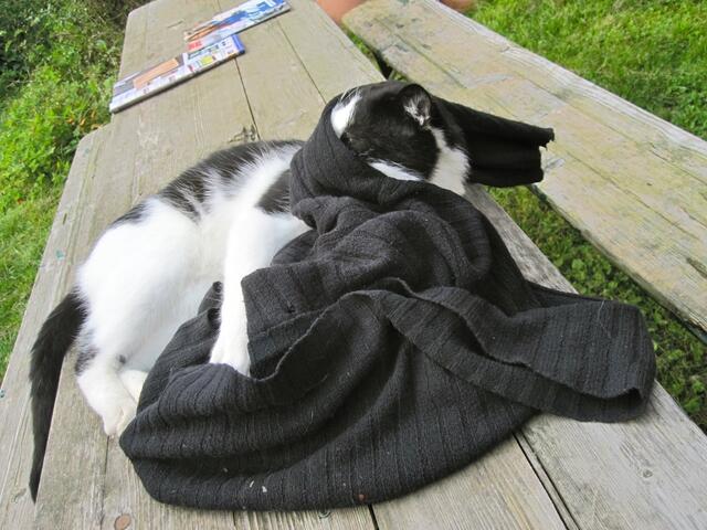 Jetzt fange ich schon an zu spinnen?!