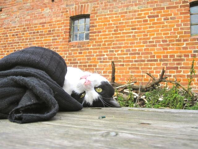 Werde ich jetzt verrückt oder was? Ich muss wohl mal mehr schlafen?!