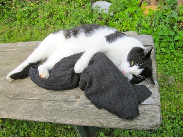 Du meinst immer noch, es sei dein Pullover?