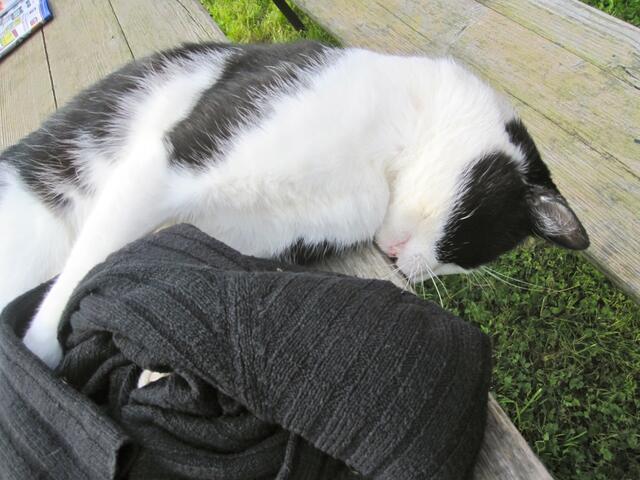 Da - schon wieder diese Stimme: "Her mit meinem Pullover!"