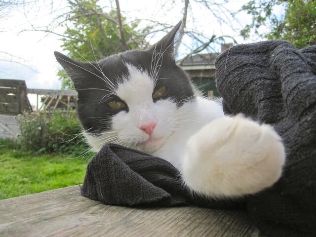 Du warst das? Warum störst du mich denn dauernd???