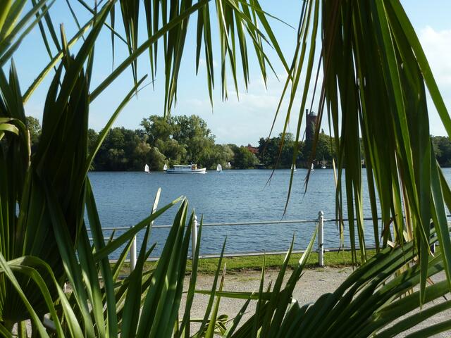 Wieder an Land vermitteln die Palmen der Strandbar einen reizvollen Blick auf die Havel.