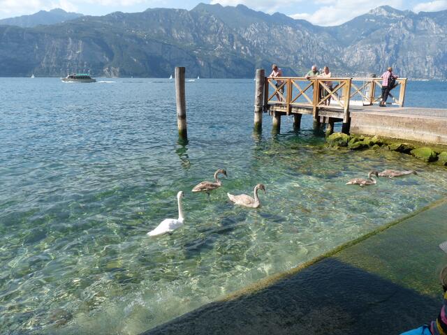 kleiner Hafen