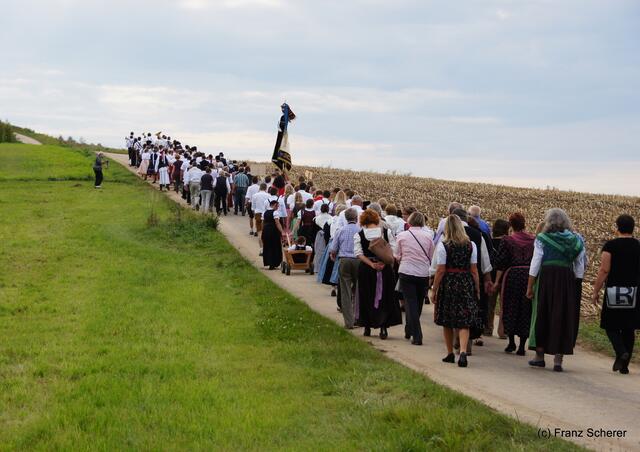 Bayerisch-ungarischer Oxentag. Auf dem Römerweg hinauf zur Adelzhausener Mehrzweckhalle