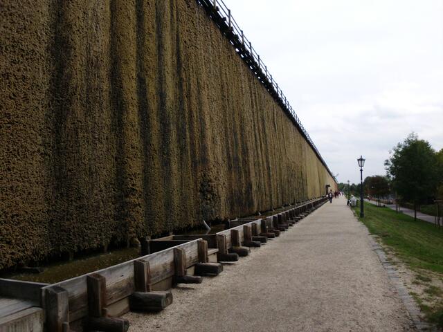 "Neues" Gradierwerk, Südseite. Länge: 411 m.