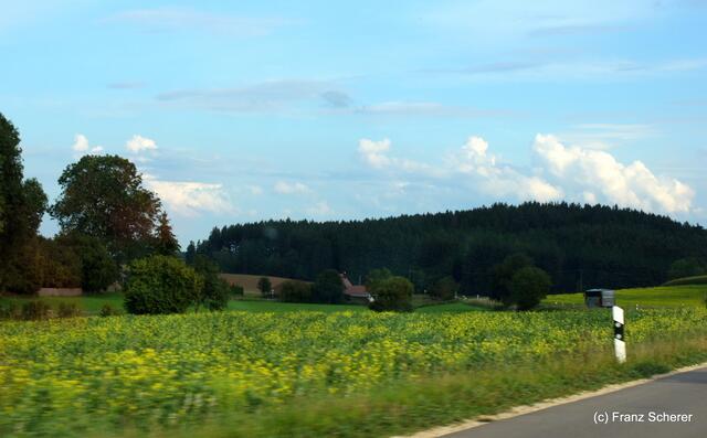 Bayerisch-ungarischer Oxentag. Unterwegs nach Adelzhausen