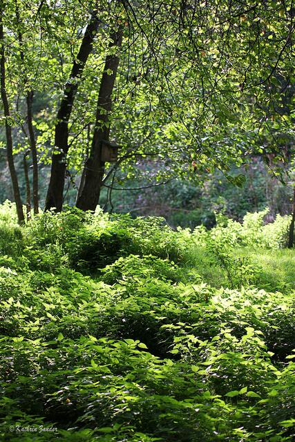 Licht und Schatten