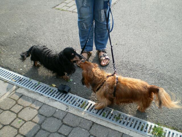 sein bester Kumpel Egon