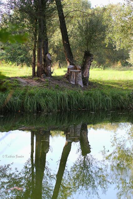 Herbst im Spiegel