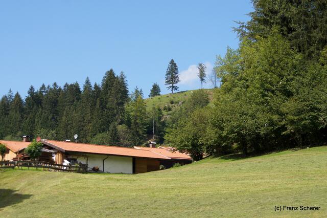 Sommerbilder 2011 - unterwegs in Deutschland. Impressionen vom Schliersee und seiner Umgebung