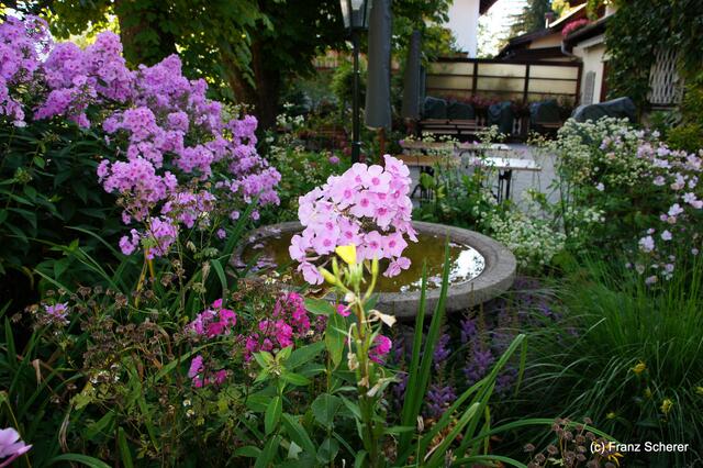 Sommerbilder 2011 - unterwegs in Deutschland. Impressionen vom Schliersee und seiner Umgebung