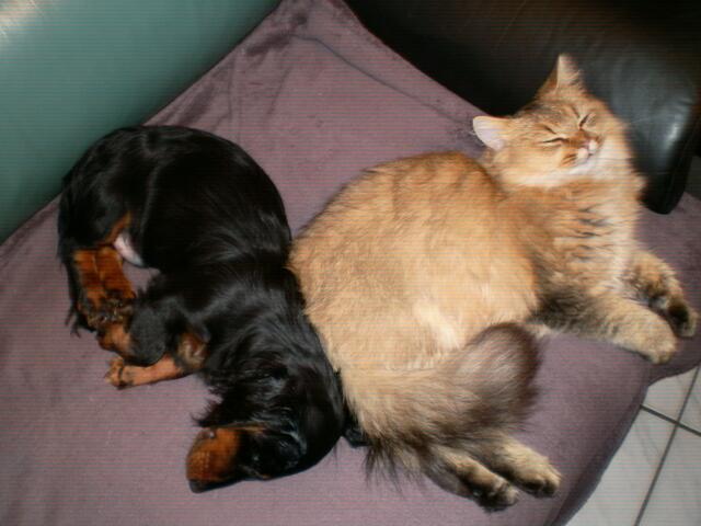 so kuschelig ruh ich gerne :-)