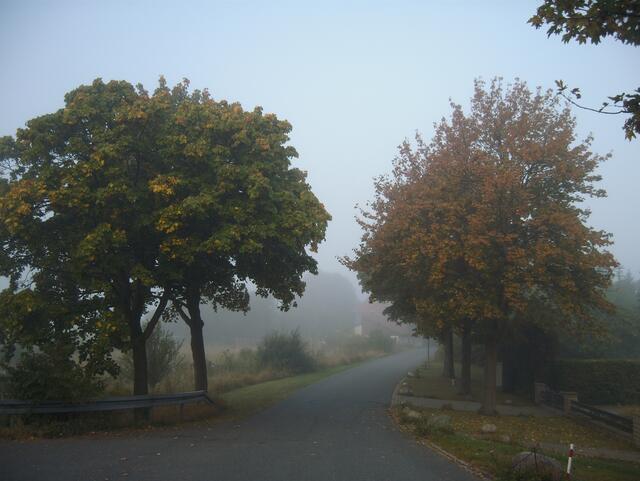Hier zeigen sich ein paar Herbstfarben