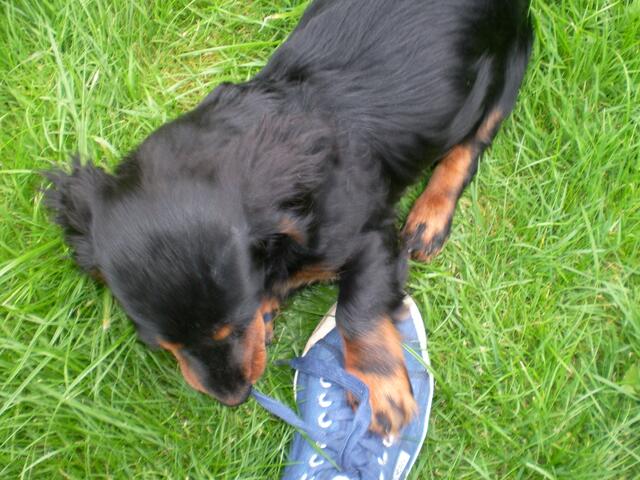 klasse...Schnürsenkel öffnen