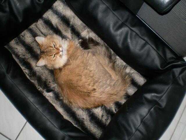 das riecht nach meinen Kumpel Franz....ich vermisse ihn!