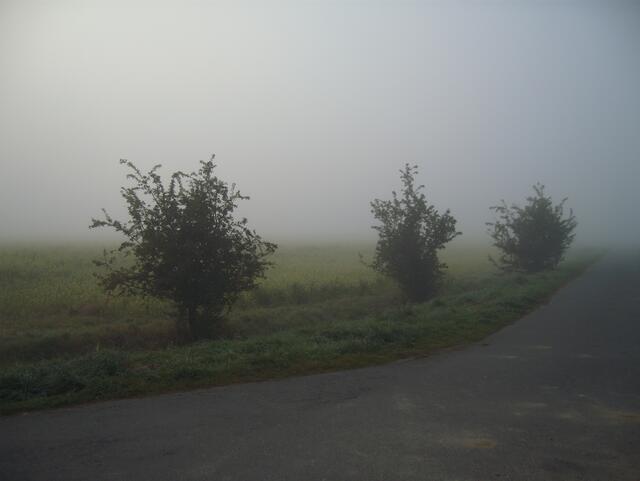 Auch die Felder versinken im Nebel