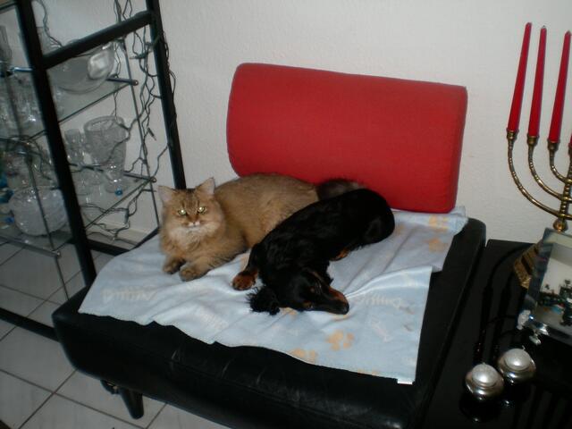 der da ist toll, der spielt und kuschelt mit mir!