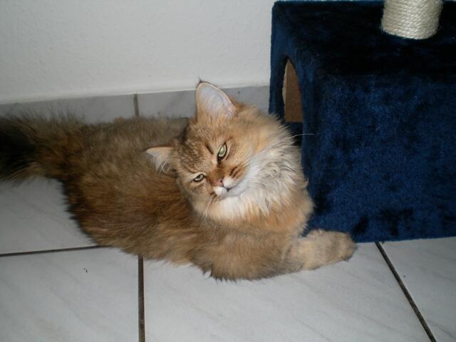 ich will jetzt lieber schmusen....