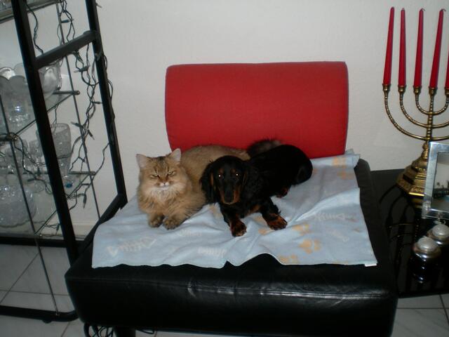 dem darf ich sogar Küsschen geben!