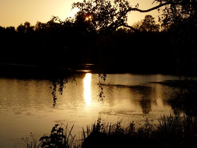 Ruhige Abendidylle am Springhorstsee.
