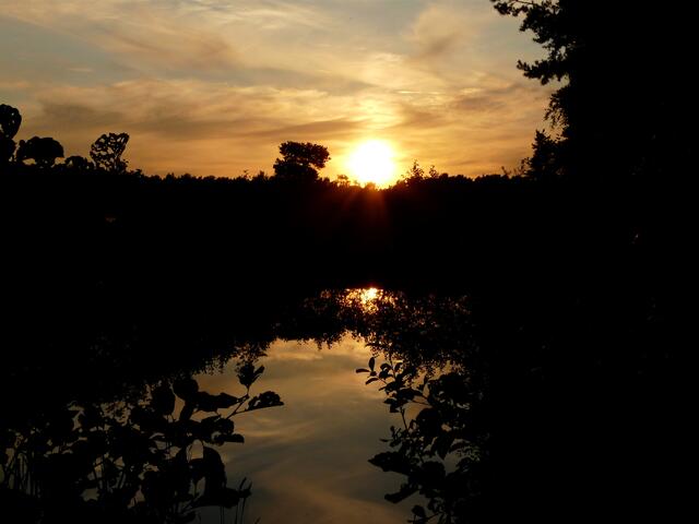 Abend am BIOTOP.