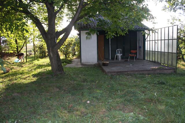 das Sommerhäuschen mit dem großen Nußbaum