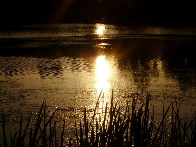 Die Sonne versinkt im Springhorstsee.