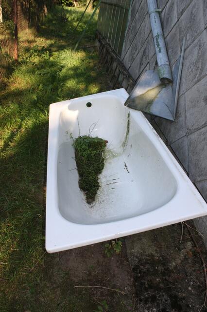 die  ausrangierte Wanne dient als kleiner Beet