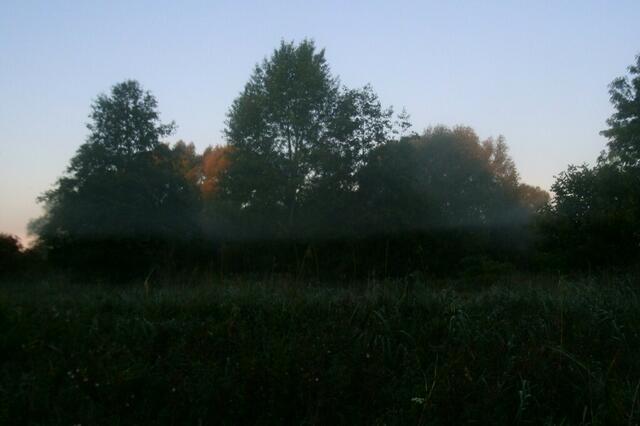 Und aus den Wiesen steiget ...