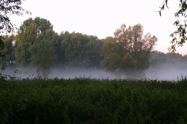 Es ist still über dem Moor ...