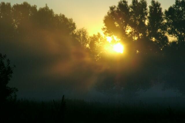 ... und begrüßt mit mir den neuen Tag!