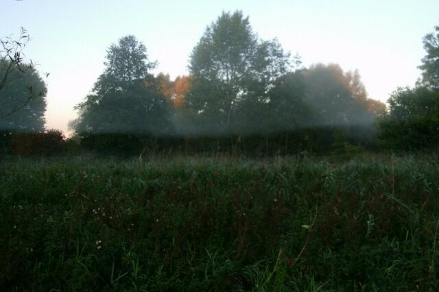 ... der weiße Nebel wunderbar.