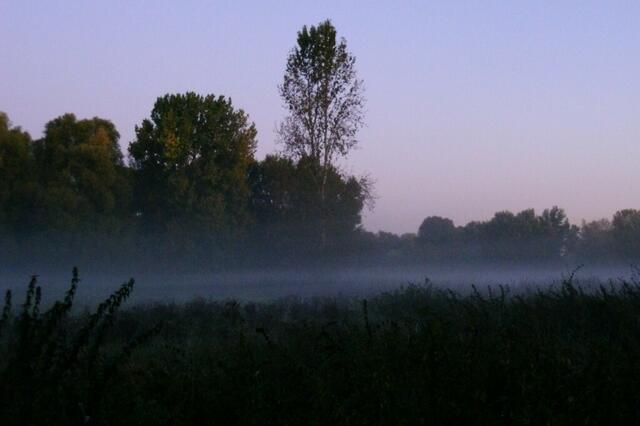 ... die langsam aus den Moorwiesen aufsteigen.