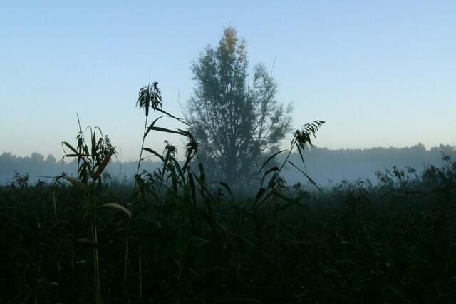 ... langsam müssen sich die Nebelschwaden davon machen ...