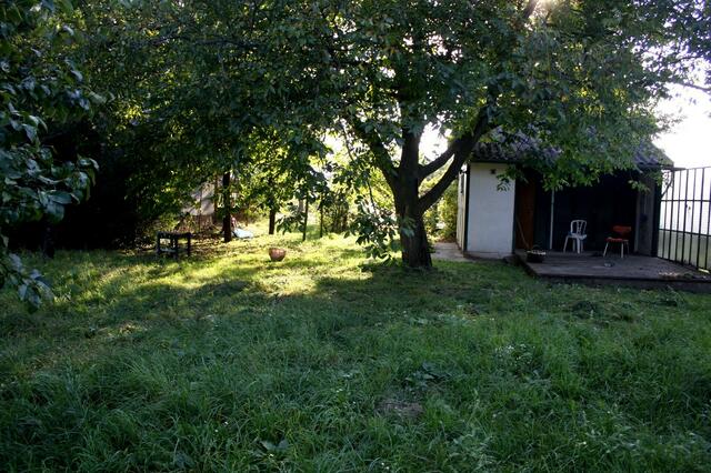 ein idyllischer Garten mit viel Obstbäumen, die in den heißen Sommertagen Schatten spenden.