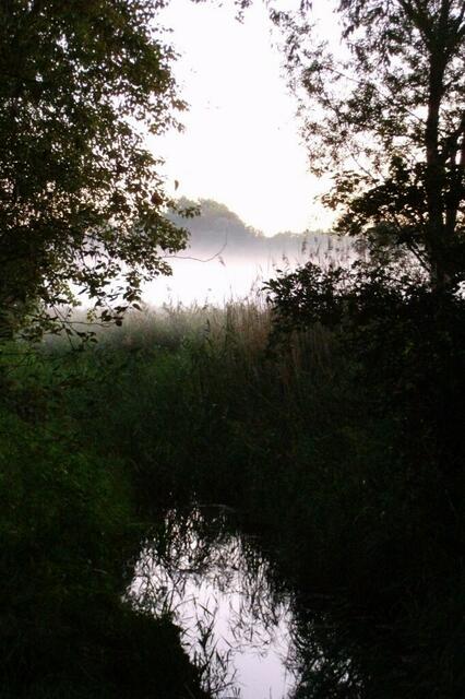 Die weiße Wand rückt mir immer mehr auf den Pelz ...