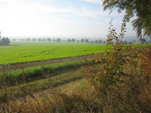Am Benther Berg