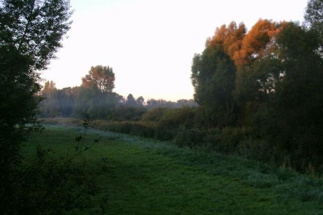 Die Sonne bestrahlt schon das herbstliche Laub in den hohen Baumkronen ...