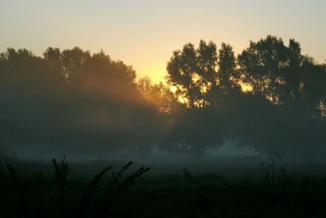 ... kämpft sich mit ihren Strahlen durch die Nebelwand ...